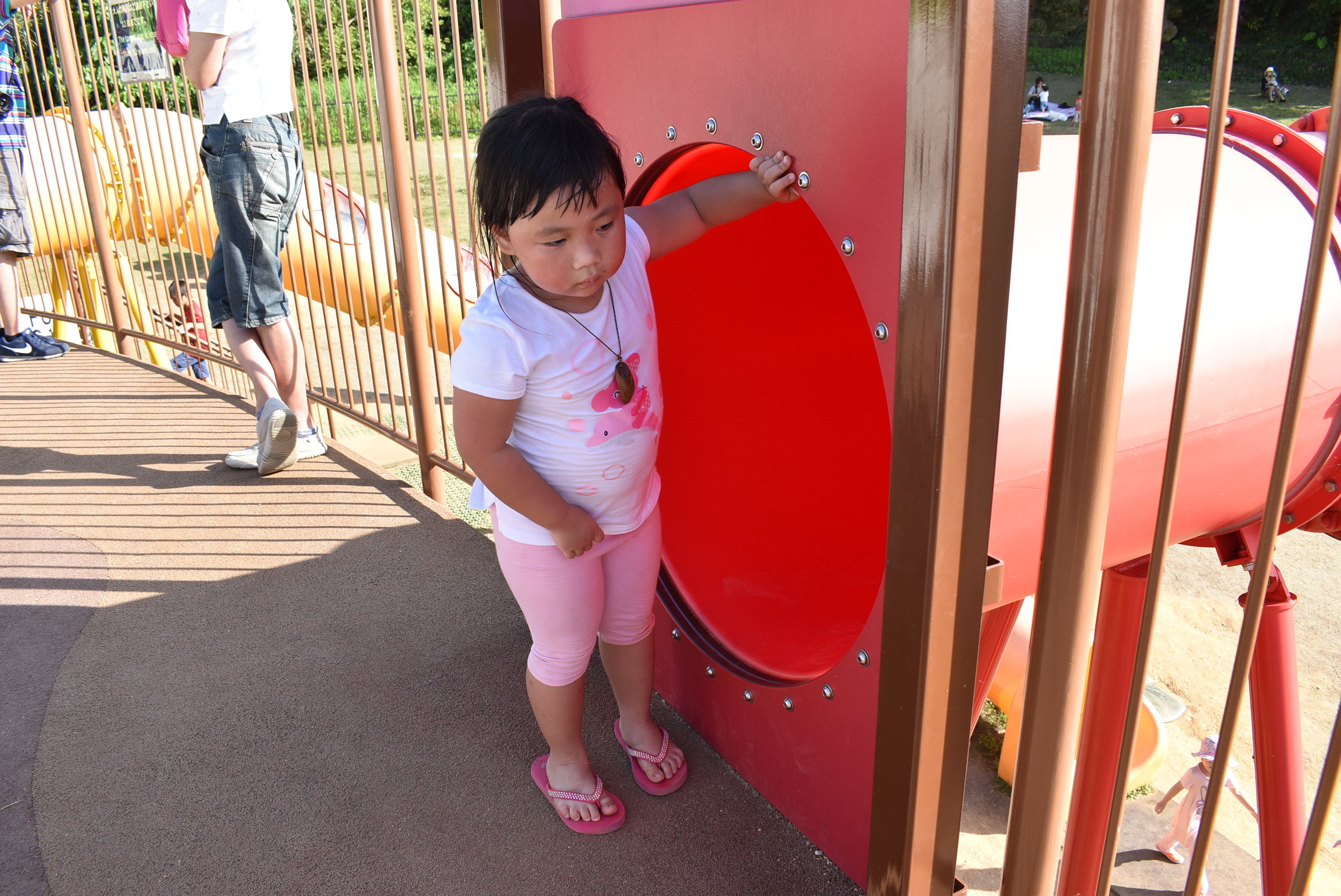 DSC_0493.JPG DSC_0493.JPG