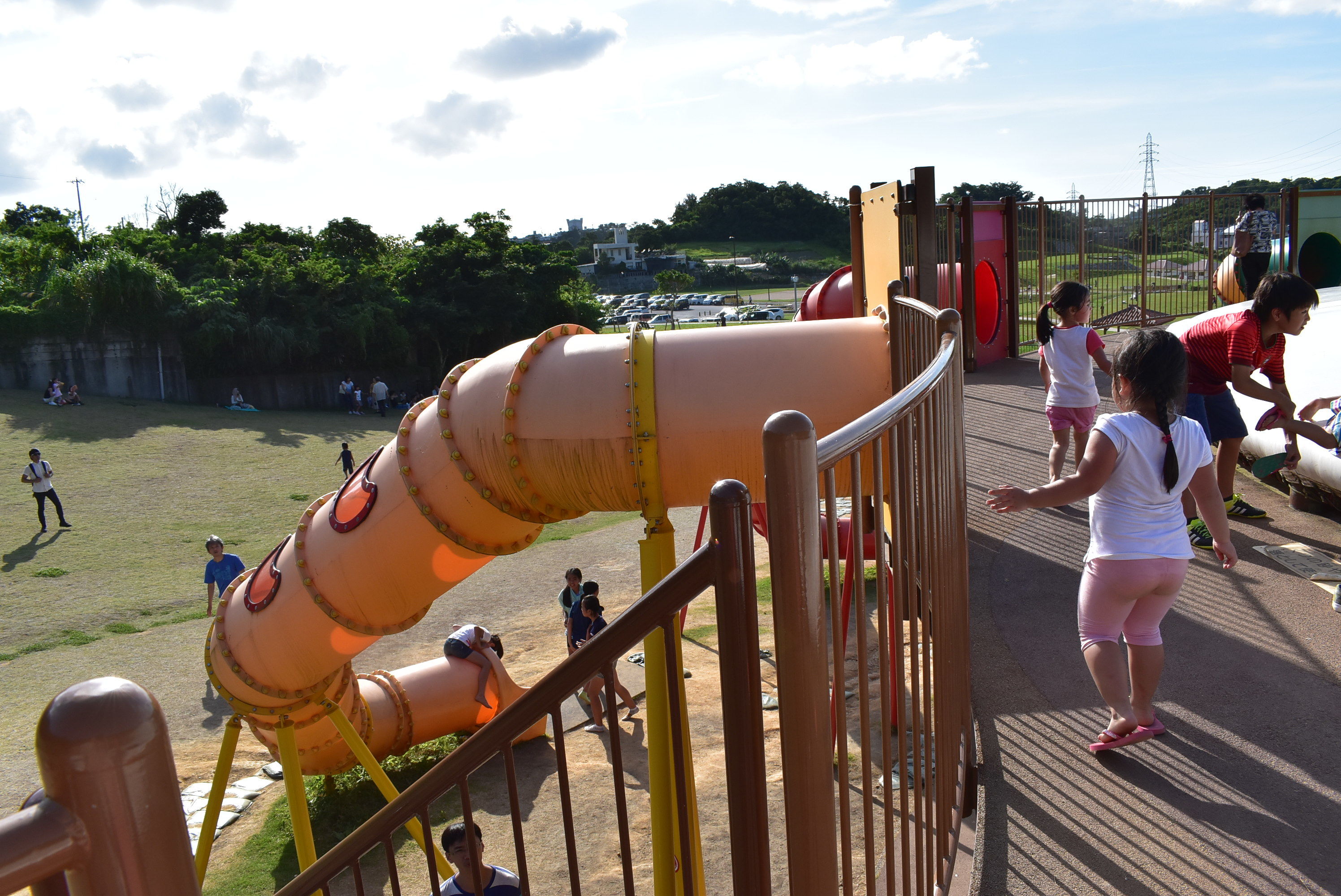 DSC_0499.JPG DSC_0499.JPG