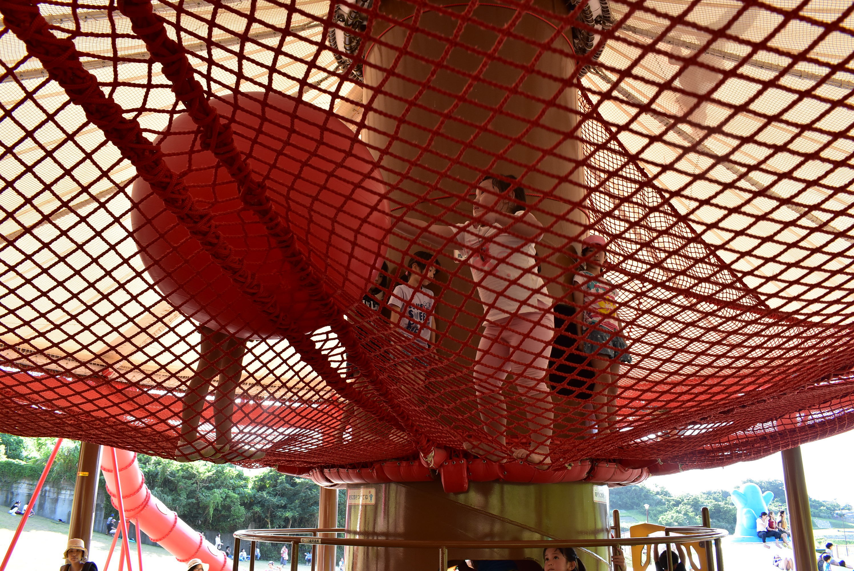 DSC_0502.JPG DSC_0502.JPG