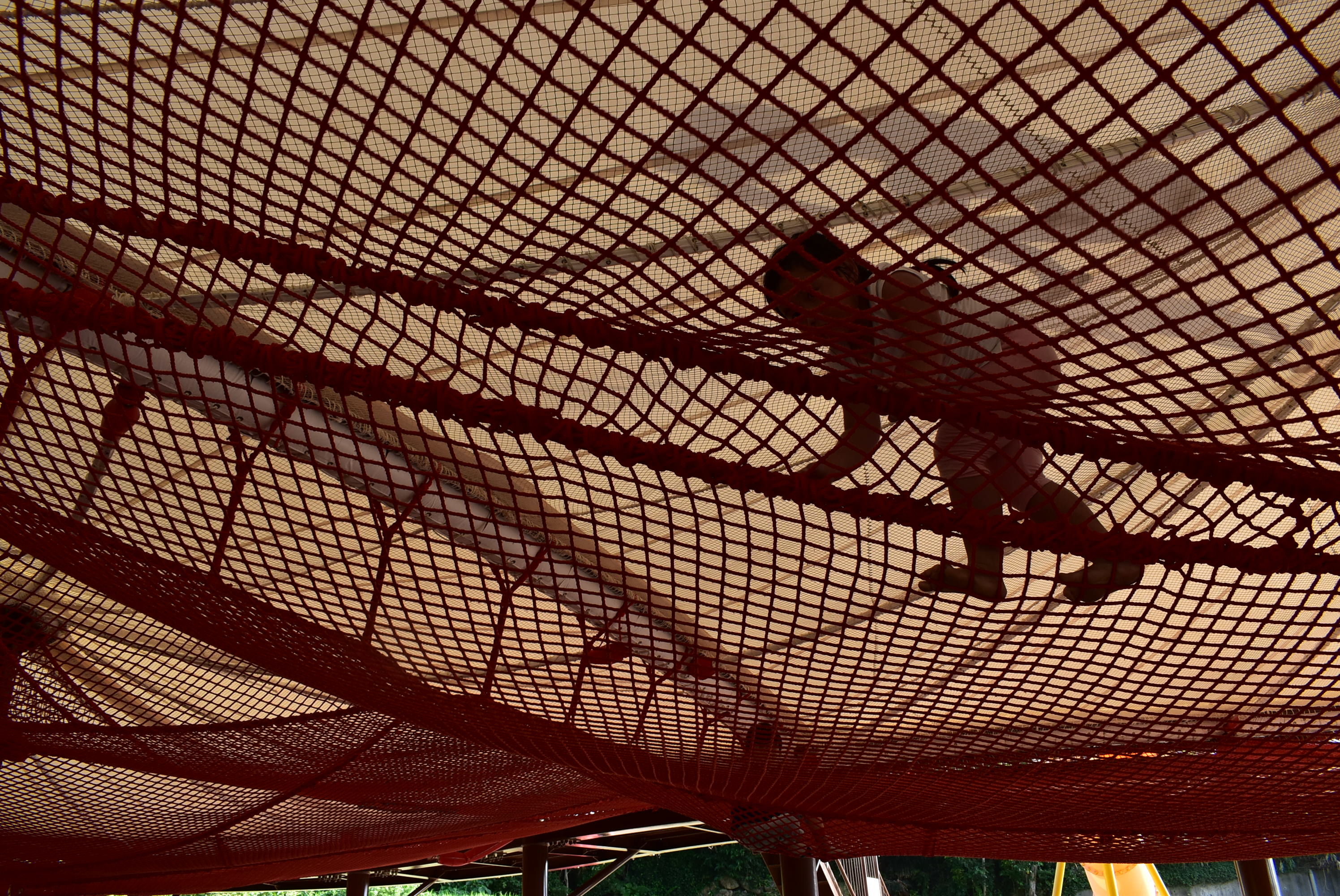 DSC_0504.JPG DSC_0504.JPG