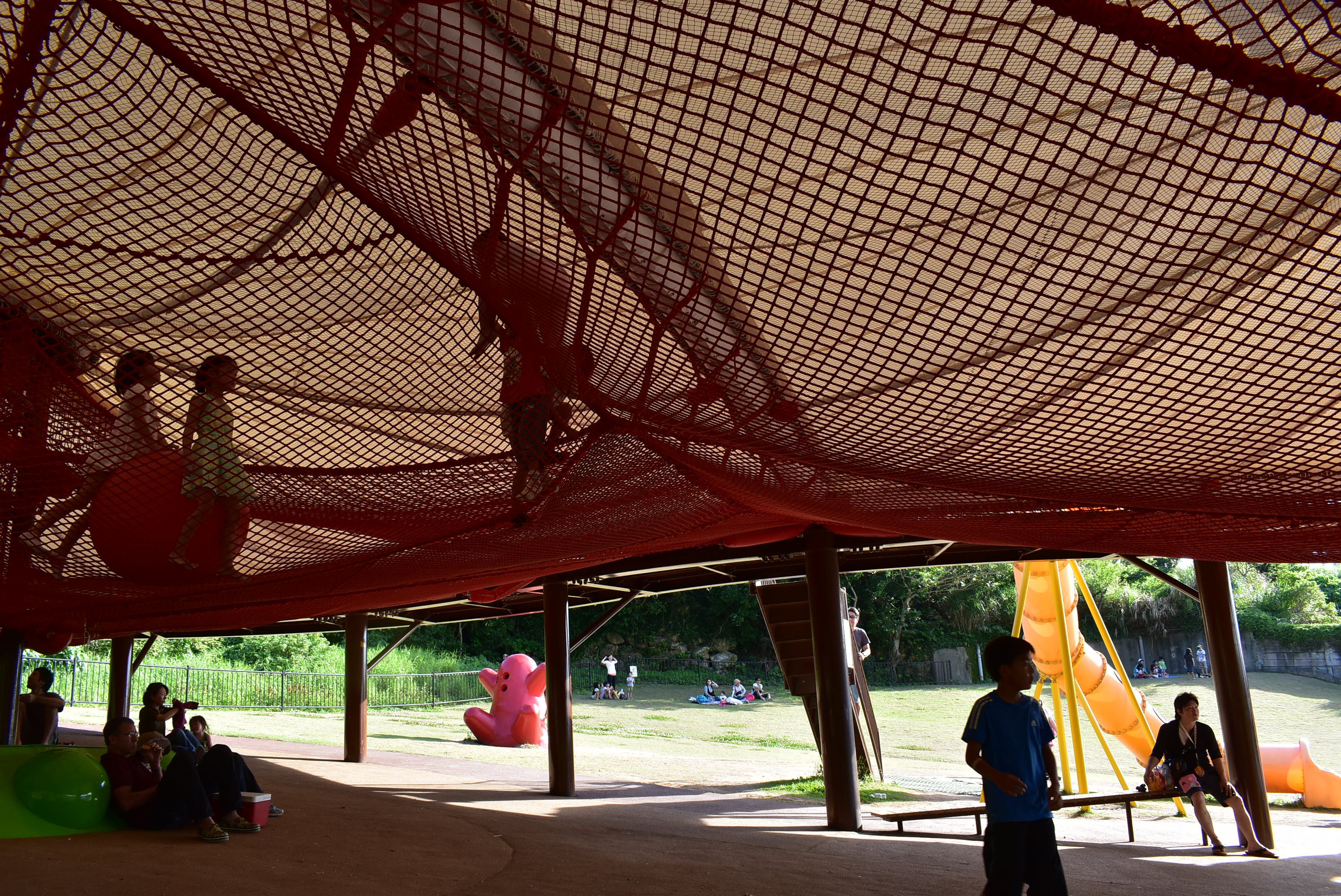 DSC_0505.JPG DSC_0505.JPG