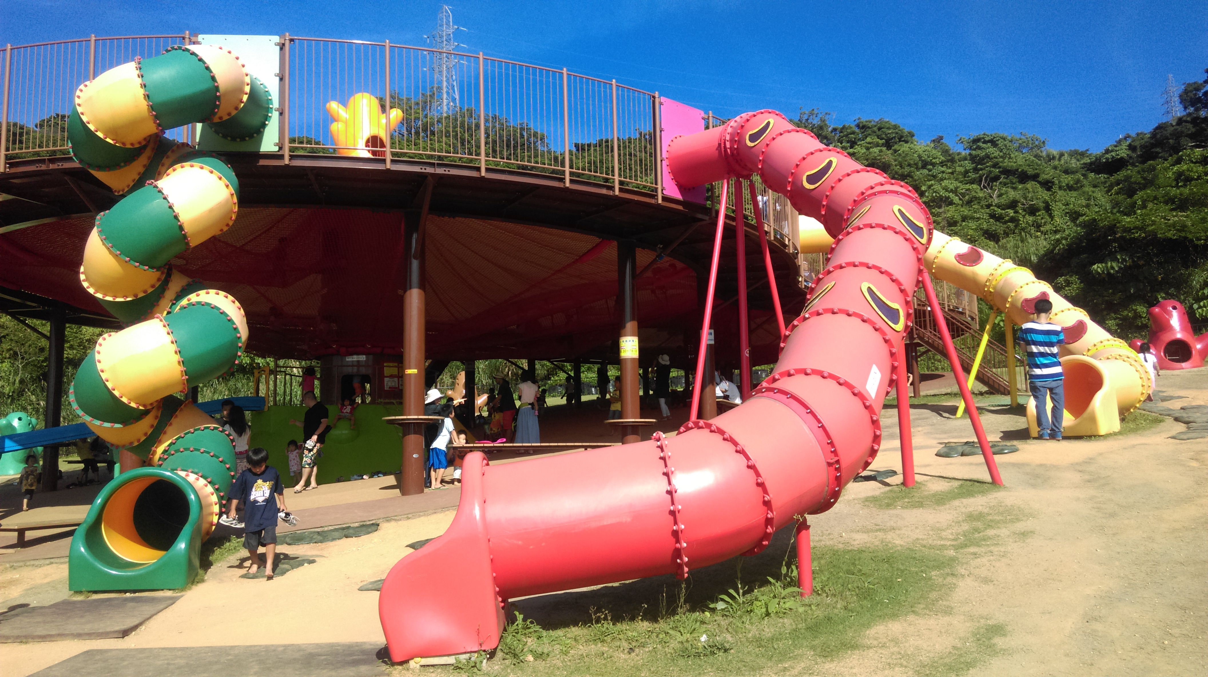 IMAG9237.jpg IMAG9237.jpg