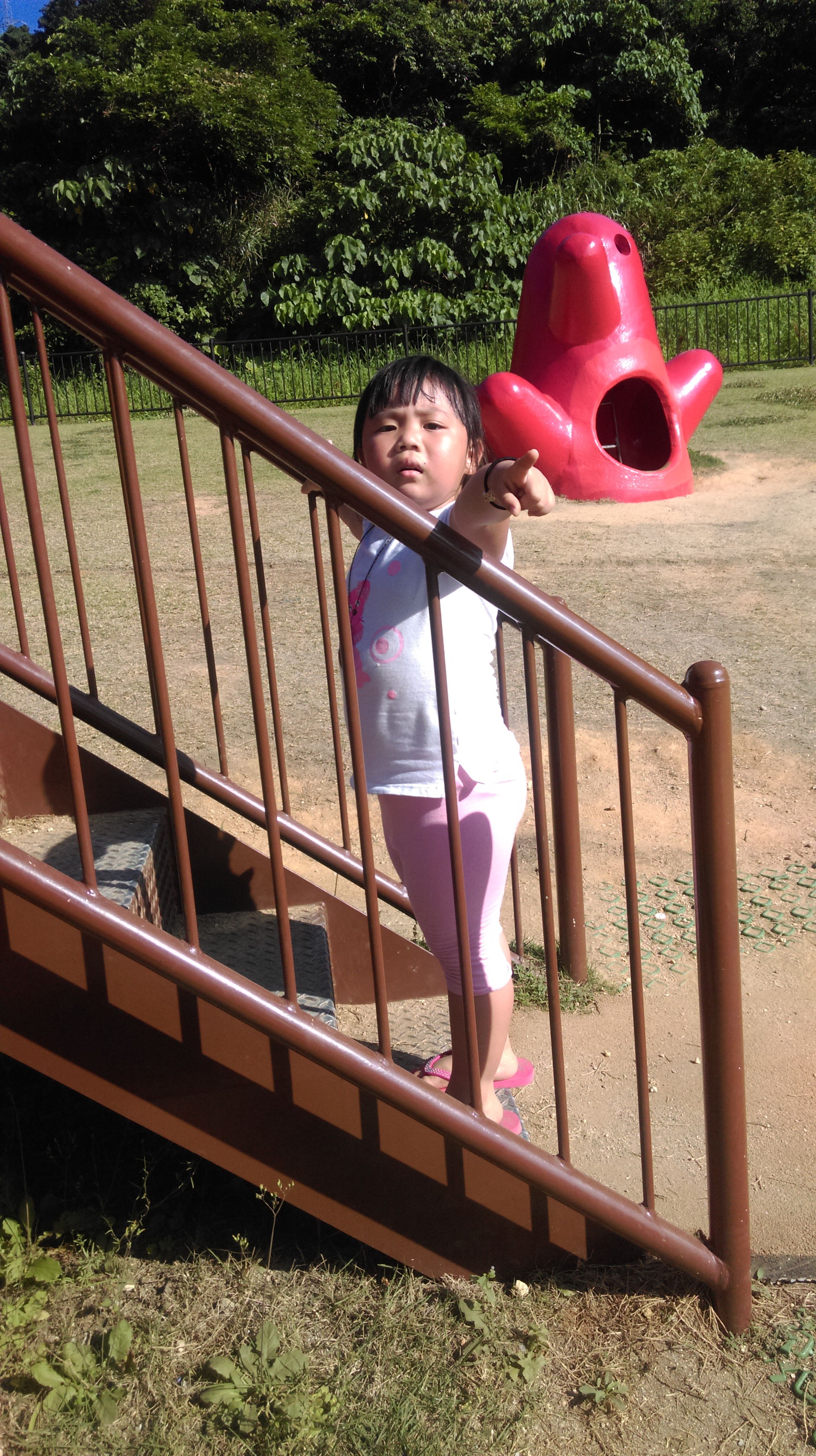 IMAG9246.jpg IMAG9246.jpg