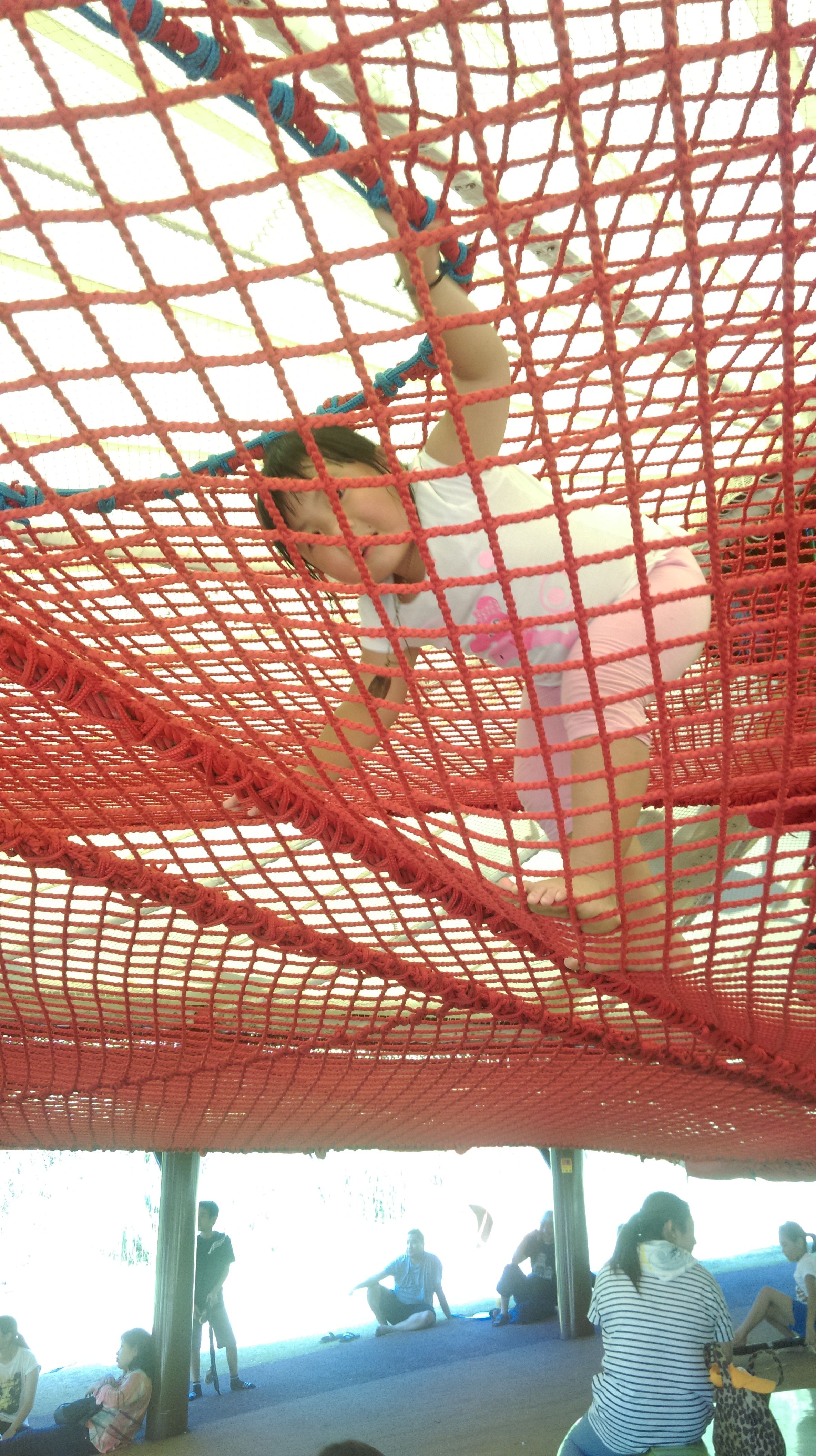 IMAG9251.jpg IMAG9251.jpg