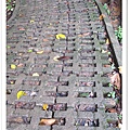 P05.jpg