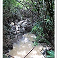 P04.jpg