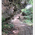P17.jpg