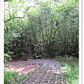 P03.jpg