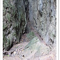 P08.jpg