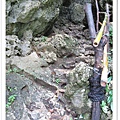 P12.jpg