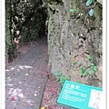 P01.jpg