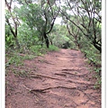 P25.jpg
