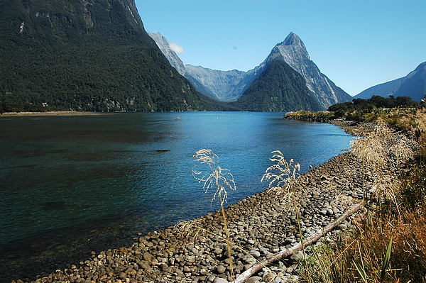DSC_0274.JPG DSC_0274.JPG