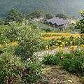 DSC00586_大小 .JPG