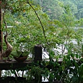 DSC01289_大小 .JPG