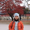 991117-20Seoul (233).JPG