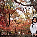 991117-20Seoul (326).JPG