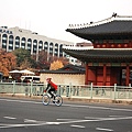 991117-20Seoul (225).JPG