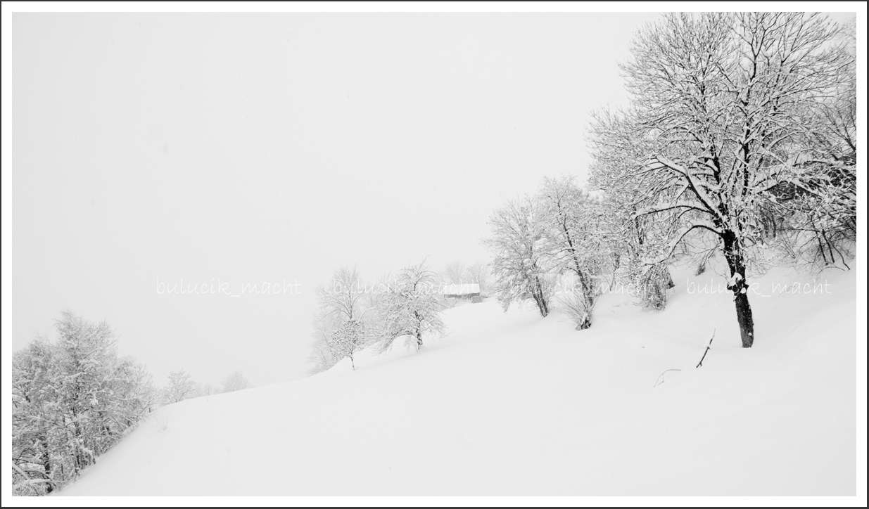 Birgisch Landschaft 07_bulucik.jpg