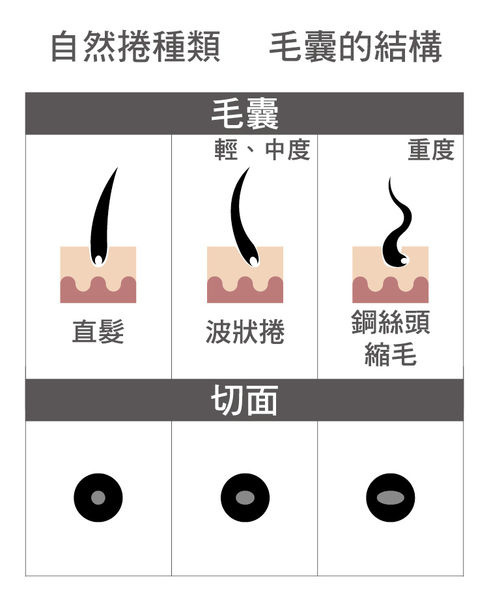 【中壢燙直】自然捲的救星「縮毛矯正燙」頭髮吹乾光澤感破表 讓