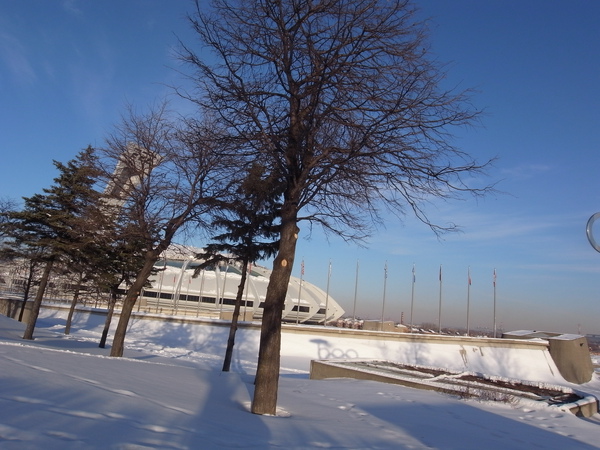 2009_1220_033657.JPG