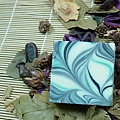 DSCN5851.jpg