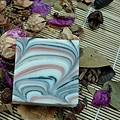 DSCN5855.jpg