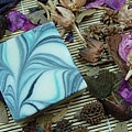 DSCN5842