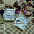 DSCN5826
