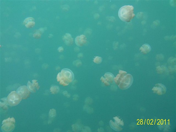 1000228_21.JPG