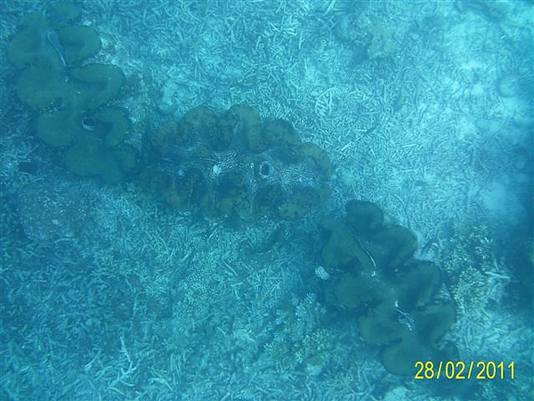 1000228_75.JPG