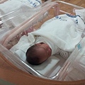 newborn-baby-2067983_640.jpg