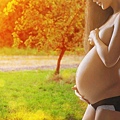 pregnant-3060601_640.jpg