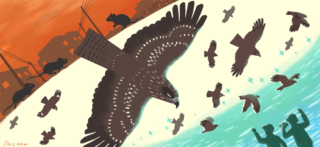 追回我們沒看到的黑鳶盛世