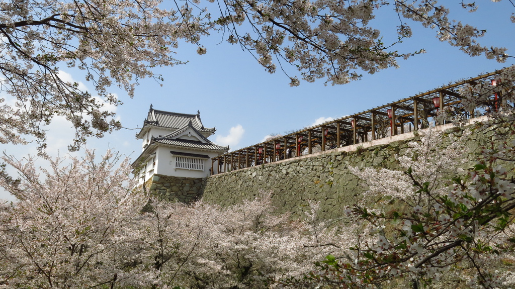 津山城 鶴山公園 Iwenhua的部落格 痞客邦