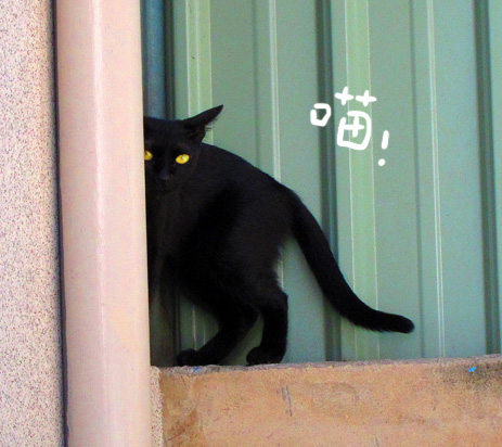 55.jpg