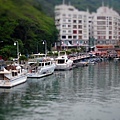 IMG_4833.JPG