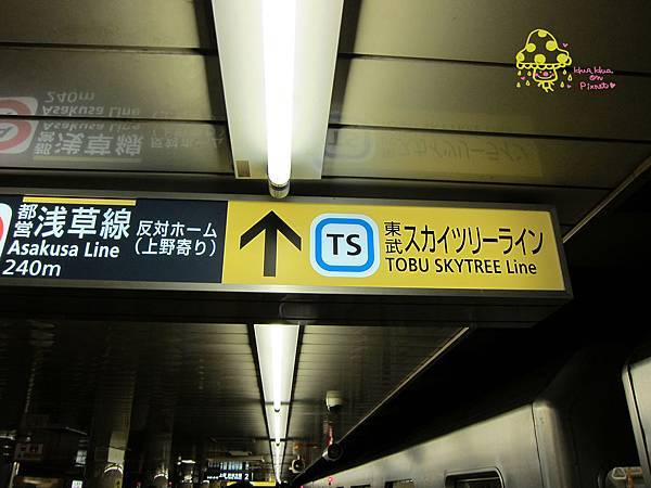 IMG_0546 IMG_0546