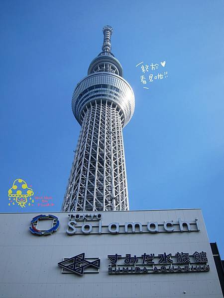 IMG_0558 IMG_0558