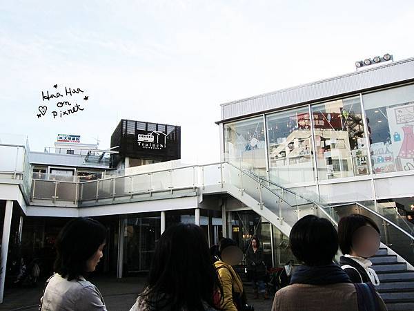 IMG_0910 IMG_0910