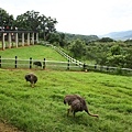 IMG_8990