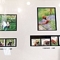 IMG_7521.JPG