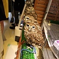 IMG_6935.JPG