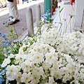 DSC06153.JPG