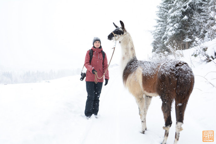 与神兽在阿尔卑斯大雪中徒步