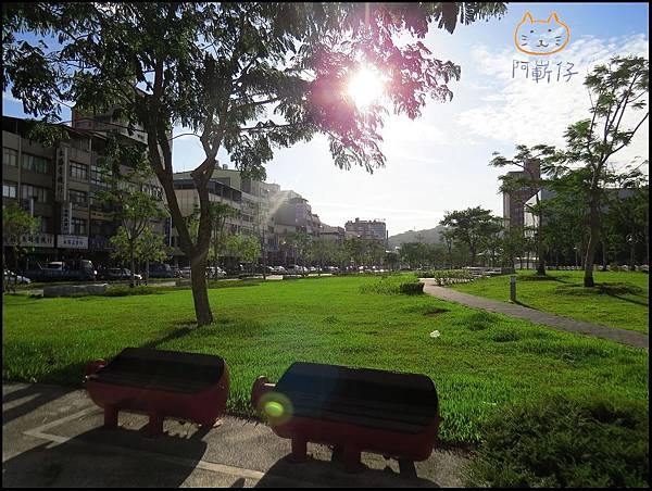 IMG_492911 IMG_492911