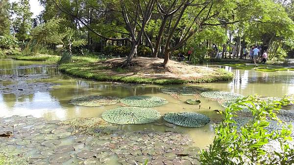 2015-08-22 16.01.51.jpg