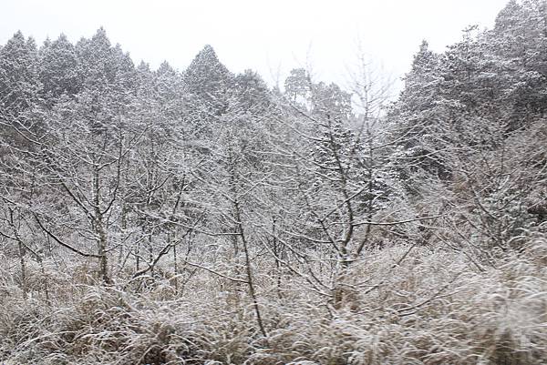 _MG_0631.JPG _MG_0631.JPG