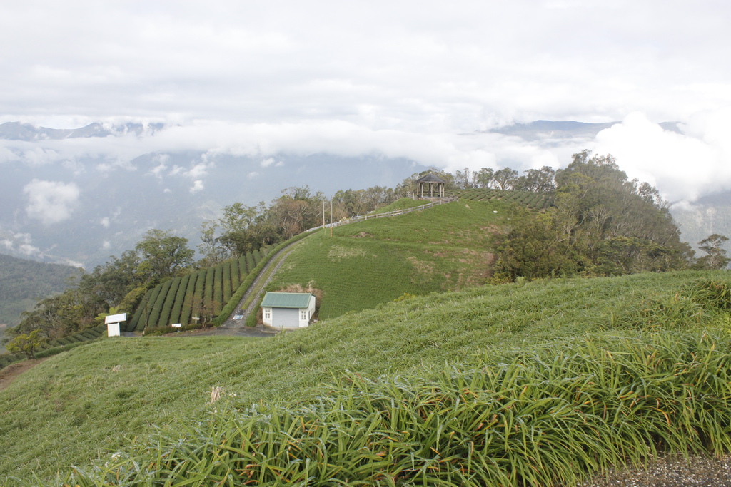 _MG_4208.JPG _MG_4208.JPG