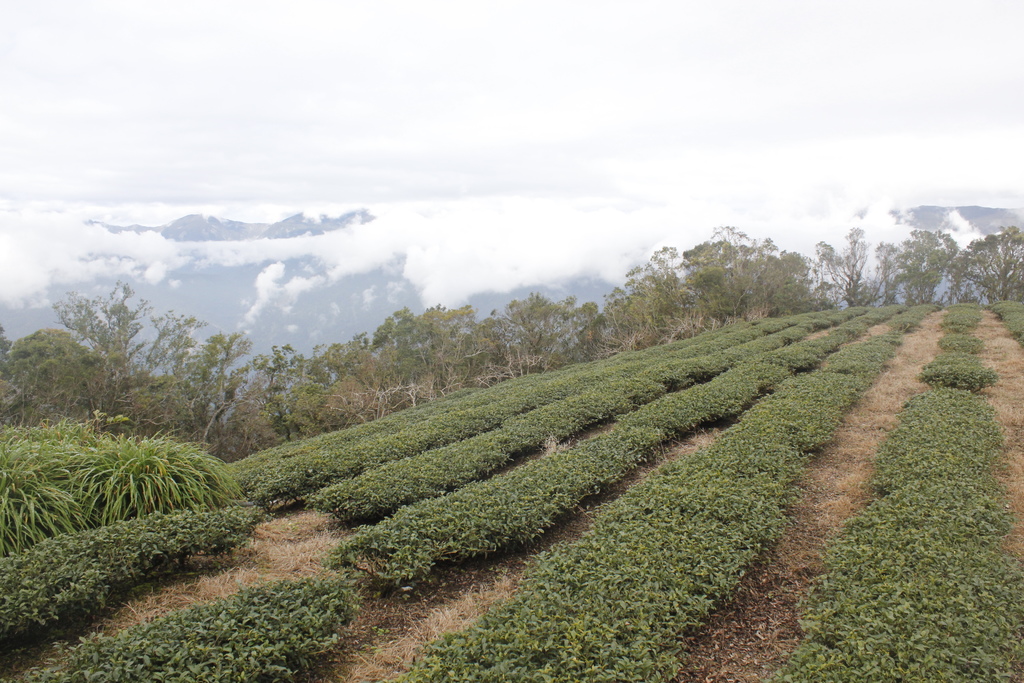 _MG_4229.JPG _MG_4229.JPG